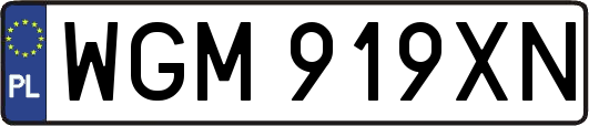 WGM919XN