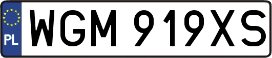 WGM919XS