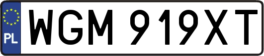 WGM919XT