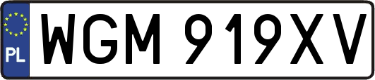 WGM919XV