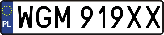 WGM919XX