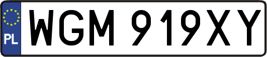 WGM919XY