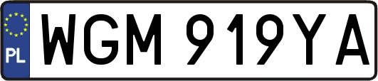 WGM919YA