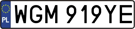 WGM919YE