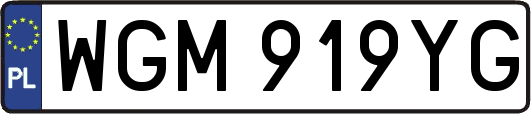 WGM919YG