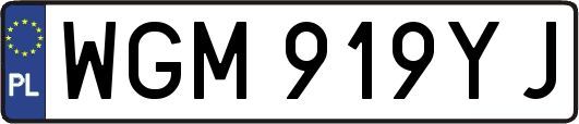 WGM919YJ