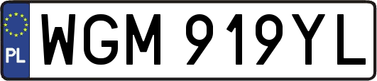 WGM919YL