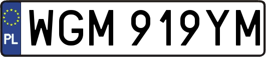 WGM919YM