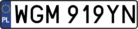WGM919YN