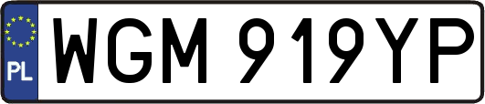WGM919YP