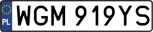 WGM919YS