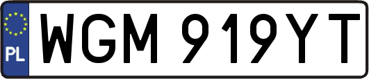 WGM919YT