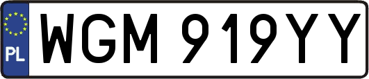 WGM919YY