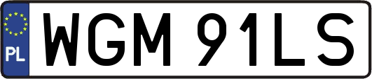 WGM91LS