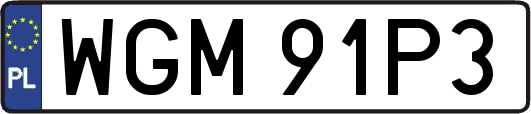 WGM91P3