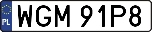 WGM91P8