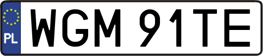 WGM91TE