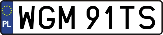 WGM91TS