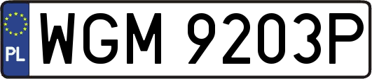WGM9203P