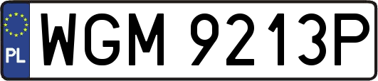 WGM9213P