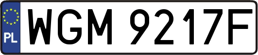 WGM9217F