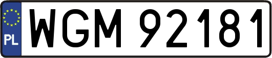 WGM92181