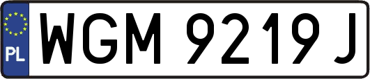 WGM9219J
