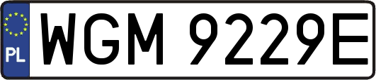 WGM9229E