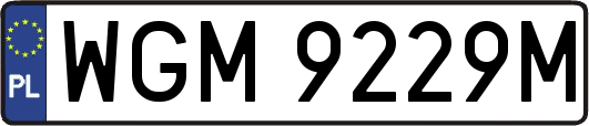 WGM9229M