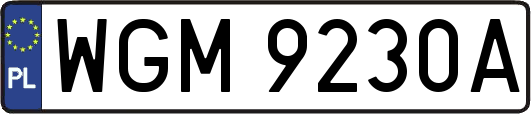 WGM9230A