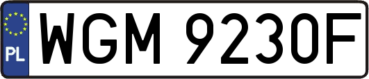 WGM9230F