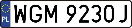 WGM9230J