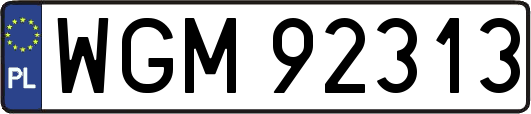 WGM92313