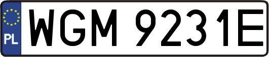 WGM9231E