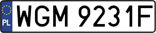 WGM9231F