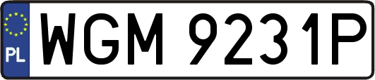 WGM9231P