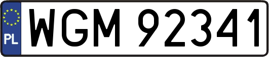 WGM92341