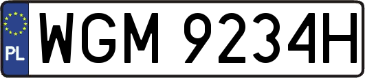 WGM9234H
