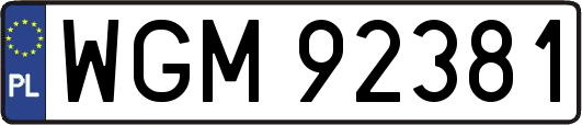 WGM92381