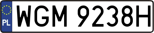 WGM9238H