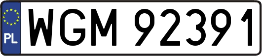 WGM92391