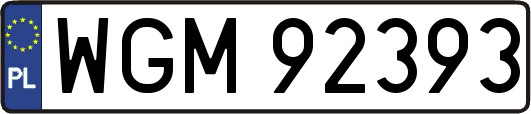 WGM92393