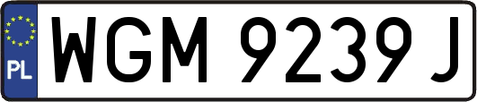 WGM9239J