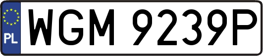 WGM9239P