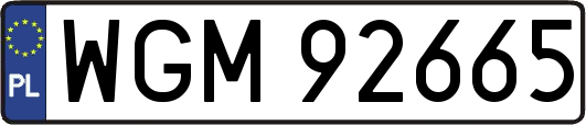 WGM92665