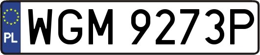 WGM9273P