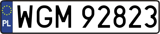 WGM92823