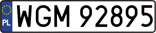 WGM92895