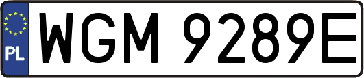 WGM9289E