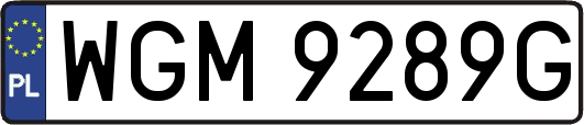 WGM9289G